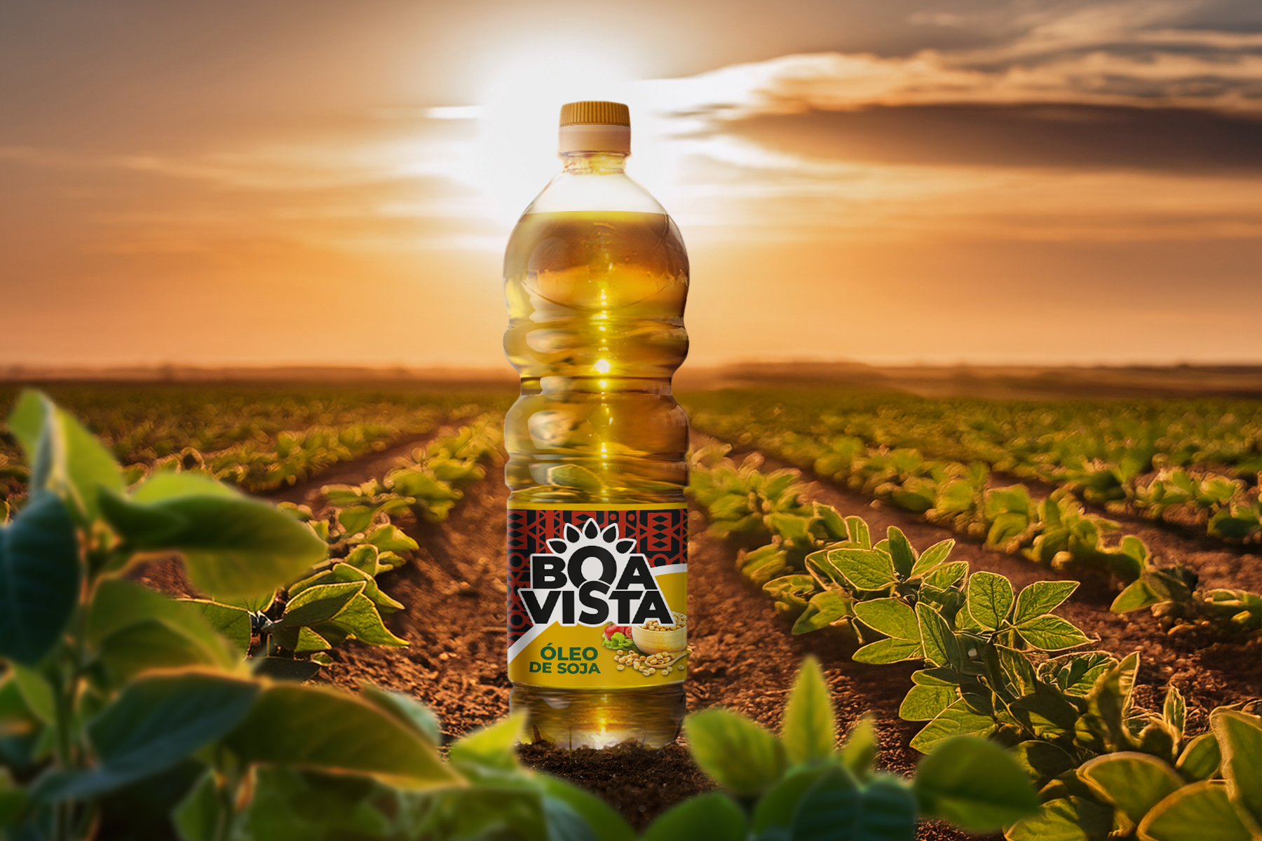 Boavista packaging